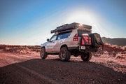 Swing Out Carrier Systems - Photo 9